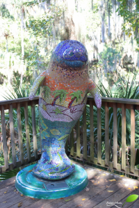 lamantin mosaïque à blue spring park