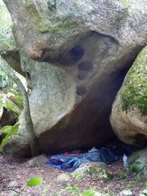 Point dodo à l'abri de la pluie sous les rochers